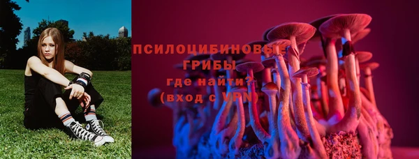 ГАЛЛЮЦИНОГЕННЫЕ ГРИБЫ Вяземский
