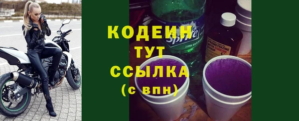 ГАЛЛЮЦИНОГЕННЫЕ ГРИБЫ Вяземский