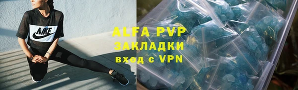 ГАЛЛЮЦИНОГЕННЫЕ ГРИБЫ Вяземский