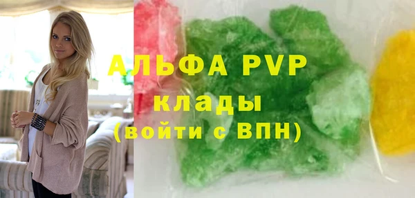 ГАЛЛЮЦИНОГЕННЫЕ ГРИБЫ Вяземский