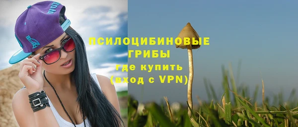 ГАЛЛЮЦИНОГЕННЫЕ ГРИБЫ Вяземский