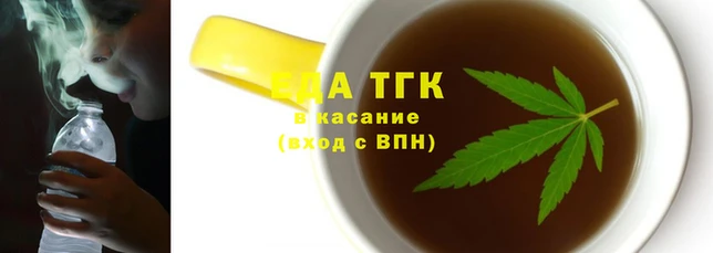 ГАЛЛЮЦИНОГЕННЫЕ ГРИБЫ Вяземский