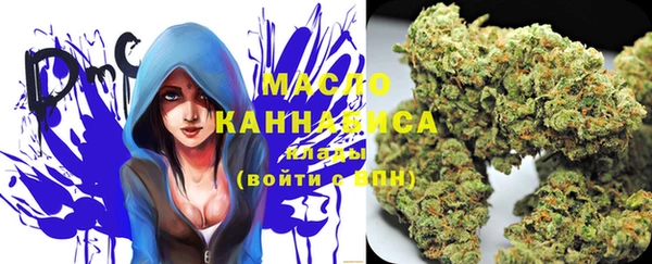 ГАЛЛЮЦИНОГЕННЫЕ ГРИБЫ Вяземский