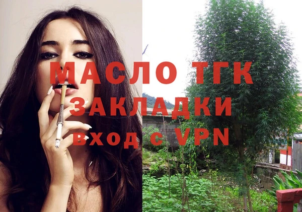 ГАЛЛЮЦИНОГЕННЫЕ ГРИБЫ Вяземский