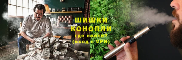 ГАЛЛЮЦИНОГЕННЫЕ ГРИБЫ Вяземский