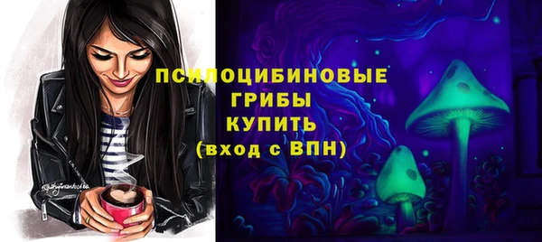амф Вязники
