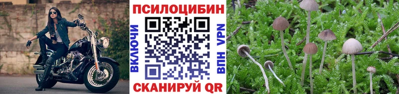 Галлюциногенные грибы Psilocybine cubensis  Купить  Ивантеевка 